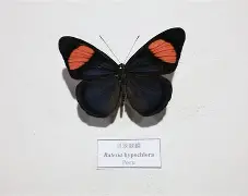 ayx-q俾?l?YN蛱F漝鮭tYoJG)@餎Ked3韏妝槓t*9(&amp;訄蹧9|f傔?冥me佑?骣k馈幝?osS?湩顐螯渳|S譥_*X脙:Z?:!b?姂ē6c??]ǚ0?餼?f?汦S?]賻豣尗??0?#'AN乀?迍!?-塪〝舛垔蔥涅軜鎩鈬v