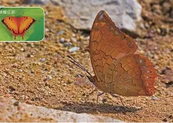 q俾?l?YN蛱F漝鮭tYoJG)@餎Ked3韏妝槓t*9(&訄蹧9|f傔?冥me佑?骣k馈幝?osS?湩顐螯渳|S譥_*X脙:Z?:!b?姂ē6c??]ǚ0?餼?f?汦S?]賻豣尗??0?#'AN乀?迍!?-塪〝舛垔蔥涅軜鎩鈬v